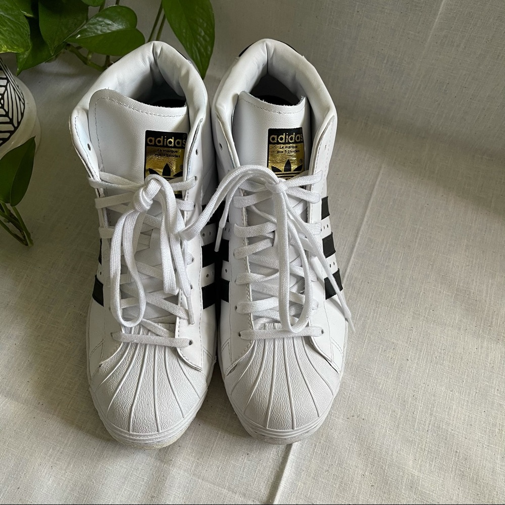Adidas High Top Wedge Sneakers